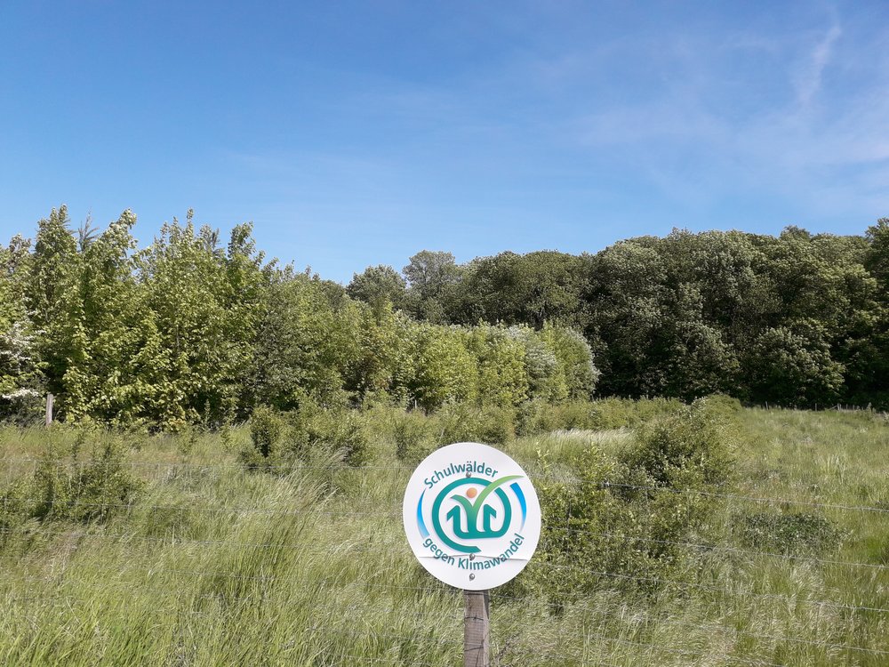 Im Vordergrund ist ein Drahtzaun zu sehen, an dem ein rundes weißes Schild mit der Aufschrift "Schulwälder gegen Klimawandel" wobei das Wort "Schulwälder" halbrund an der oberen Seite und "gegen Klimawandel" halbrund am unteren Ende des Schildes steht. In der Mitte ist ein Logo mit grünen und blauen Elementen sowie einem orangenen Punkt. Im Hintergrund sind Bäume und Sträucher zu sehen.