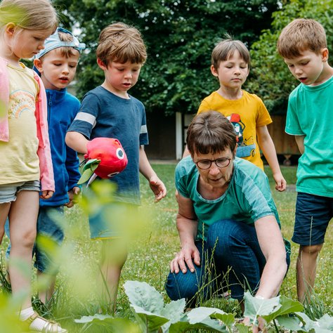 Eine kniende Frau erklärt sechs hinter ihr stehenden Kindern die Pflanzen vor ihr im Beet.