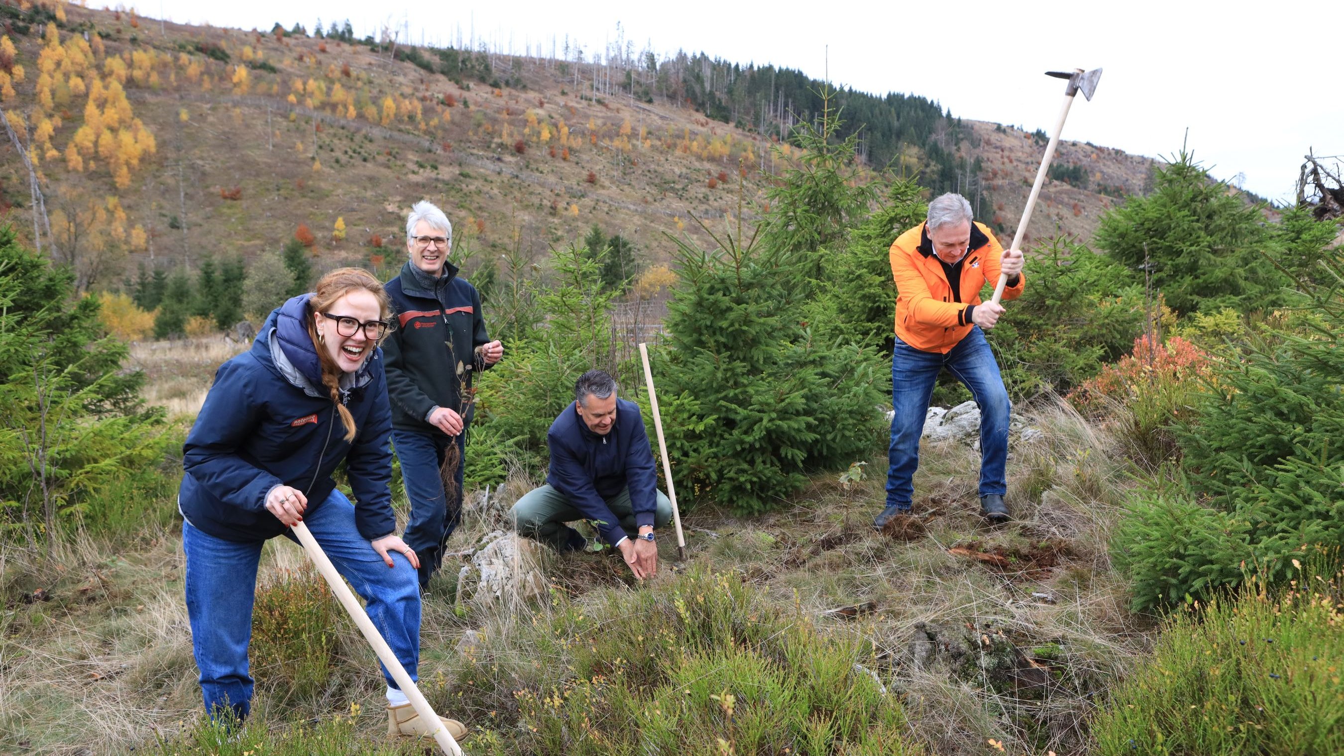 Vier Personen pflanzen Tannenbäume auf einem Hügel. Eine Frau lacht in die Kamera und hält eine Schaufel. Zwei Männer stehen und haben ebenfalls Werkzeuge, während ein Mann kniet, um einen Baum zu pflanzen. Im Hintergrund sind herbstlich gefärbte Bäume und ein bewaldeter Hang zu sehen.