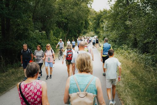 Menschen unterschiedlichen Alters gehen auf einem von Bäumen gesäumten Weg im Freien spazieren.