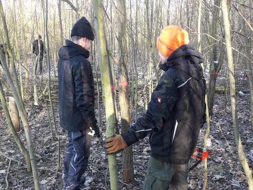 Das Bild zeigt zwei Kinder in einem Wald mit vielen Bäumen, die keine Blätter tragen. Die Kinder stehen mit dem Rücken zur Kamera und einer von ihnen umfasst einen der Bäume. Auf den Boden liegt vertrocknetes Laub.